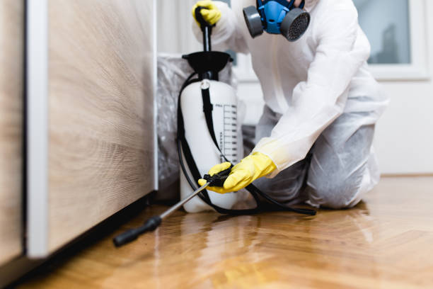 Best Best Pest Control Companies  in Laredo, TX