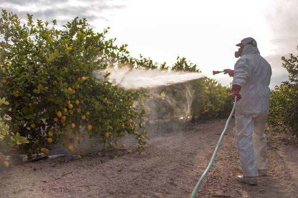 Best Pest Prevention Services  in Laredo, TX