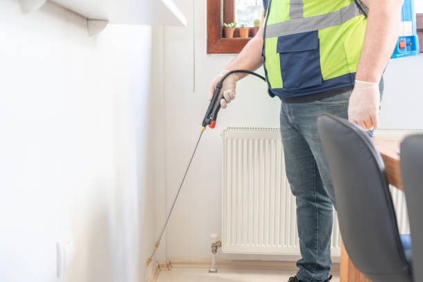 Trusted Laredo, TX Pest Control Experts